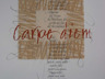 Carpe diem (2006) 70x50