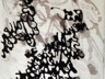 Ausschnitt (2013)